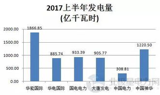 五大發(fā)電集團(tuán)與神華集團(tuán)旗下典型上市公司上半年業(yè)績(jī)分析 輸電業(yè)務(wù)誰(shuí)是贏家？
